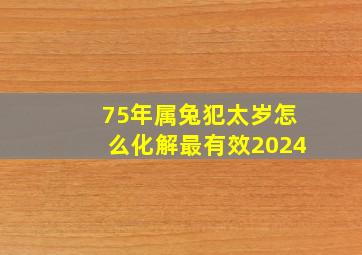 75年属兔犯太岁怎么化解最有效2024