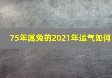 75年属兔的2021年运气如何