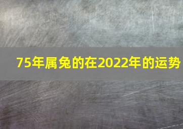 75年属兔的在2022年的运势