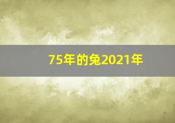 75年的兔2021年