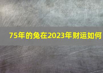 75年的兔在2023年财运如何