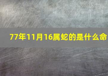 77年11月16属蛇的是什么命