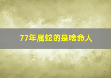 77年属蛇的是啥命人