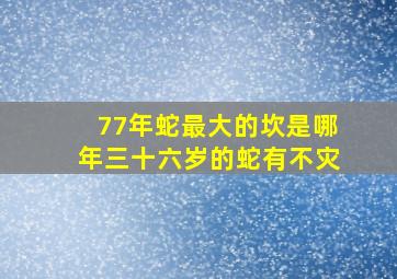 77年蛇最大的坎是哪年三十六岁的蛇有不灾