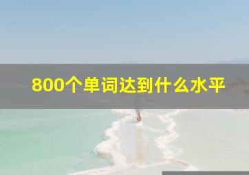 800个单词达到什么水平