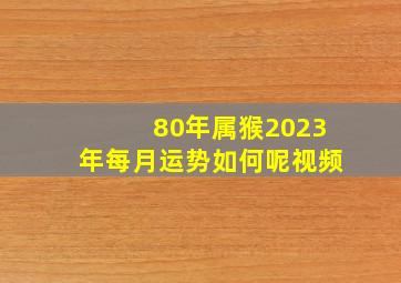 80年属猴2023年每月运势如何呢视频