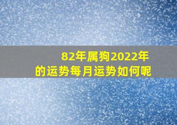 82年属狗2022年的运势每月运势如何呢