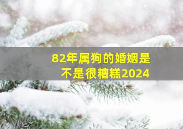 82年属狗的婚姻是不是很糟糕2024