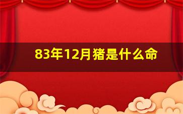 83年12月猪是什么命