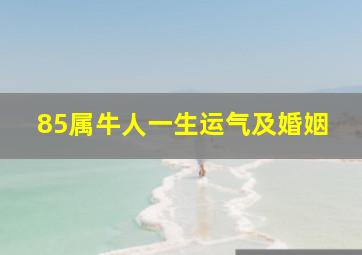 85属牛人一生运气及婚姻