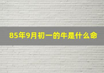 85年9月初一的牛是什么命