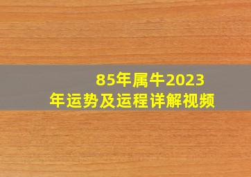 85年属牛2023年运势及运程详解视频