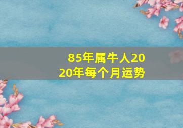 85年属牛人2020年每个月运势