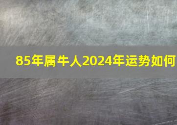 85年属牛人2024年运势如何