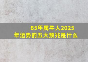 85年属牛人2025年运势的五大预兆是什么