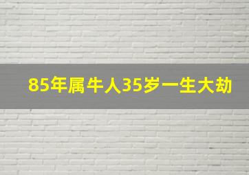 85年属牛人35岁一生大劫