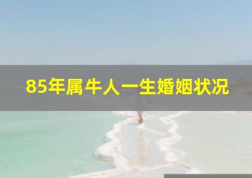 85年属牛人一生婚姻状况