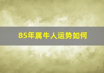 85年属牛人运势如何