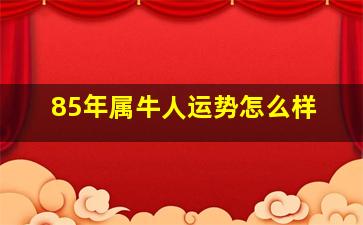 85年属牛人运势怎么样