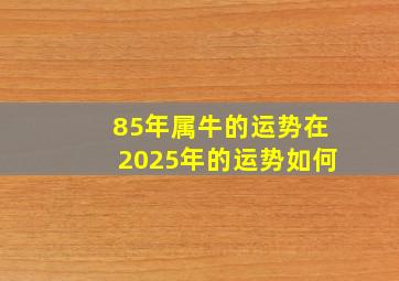 85年属牛的运势在2025年的运势如何