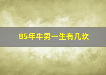 85年牛男一生有几坎