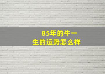 85年的牛一生的运势怎么样