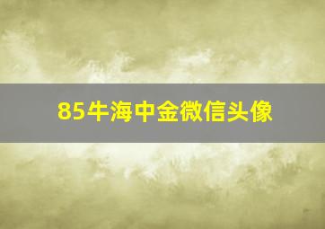 85牛海中金微信头像