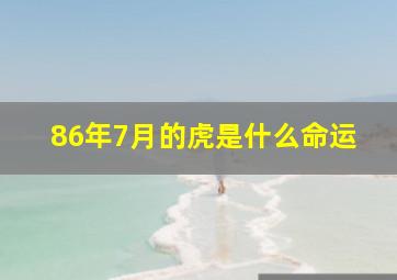 86年7月的虎是什么命运