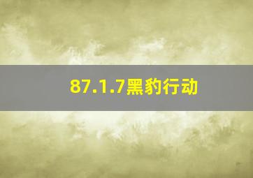 87.1.7黑豹行动