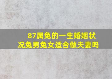 87属兔的一生婚姻状况兔男兔女适合做夫妻吗