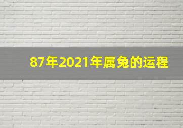 87年2021年属兔的运程