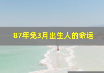 87年兔3月出生人的命运