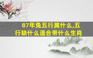 87年兔五行属什么,五行缺什么适合带什么生肖