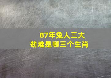 87年兔人三大劫难是哪三个生肖