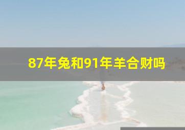 87年兔和91年羊合财吗