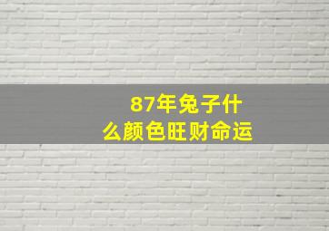 87年兔子什么颜色旺财命运