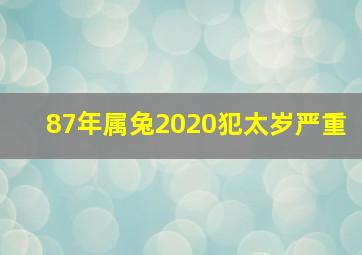 87年属兔2020犯太岁严重