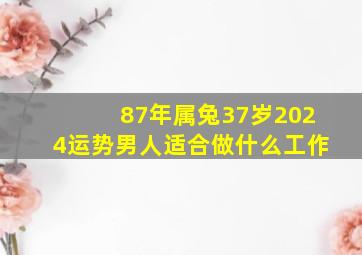 87年属兔37岁2024运势男人适合做什么工作