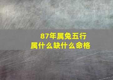 87年属兔五行属什么缺什么命格