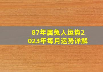 87年属兔人运势2023年每月运势详解