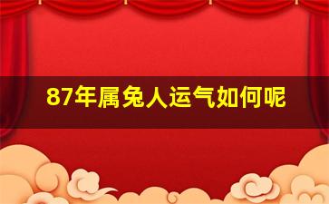 87年属兔人运气如何呢