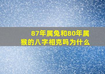 87年属兔和80年属猴的八字相克吗为什么