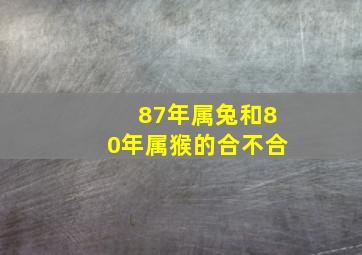 87年属兔和80年属猴的合不合