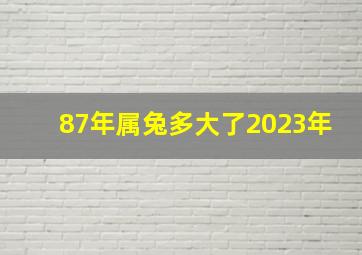 87年属兔多大了2023年