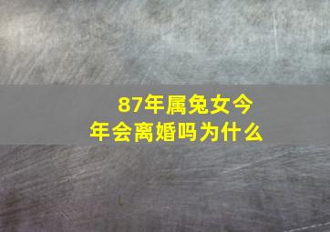 87年属兔女今年会离婚吗为什么