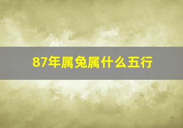 87年属兔属什么五行