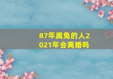 87年属兔的人2021年会离婚吗