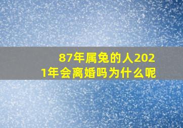 87年属兔的人2021年会离婚吗为什么呢