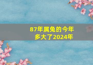 87年属兔的今年多大了2024年