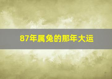 87年属兔的那年大运